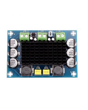 XH-M542 TPA3116D2 Mono 100W Digital Audio Amplifier Module 12-26V DC